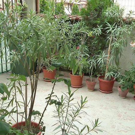 Kyshta Za Gosti Pri Krystyo I Vanya Guest house *