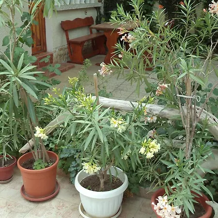 Kyshta Za Gosti Pri Krystyo I Vanya Guest house Ravda
